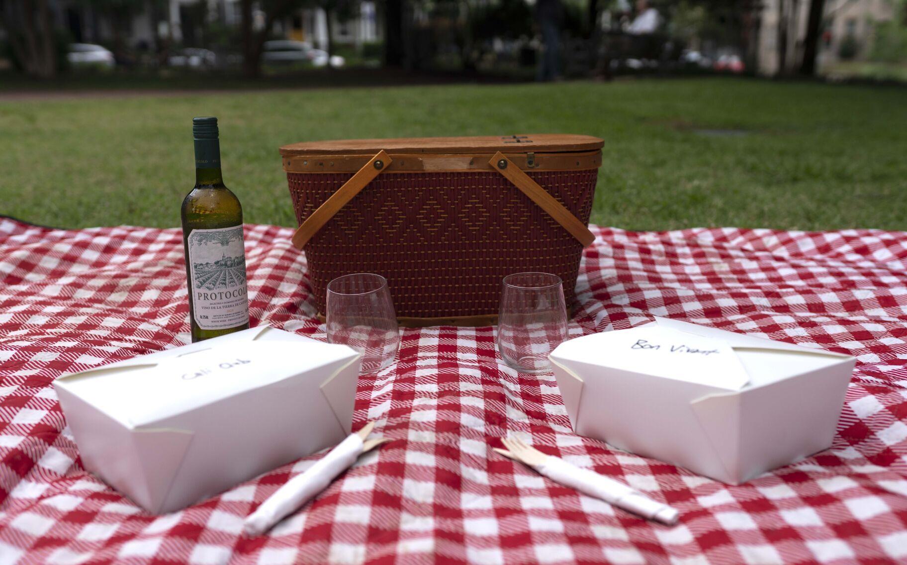 picnic basket date